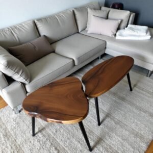 Duo Walnut Nesting Tables